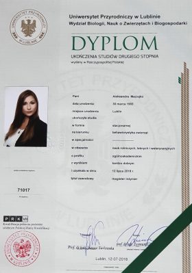 dyplom uniwersytet